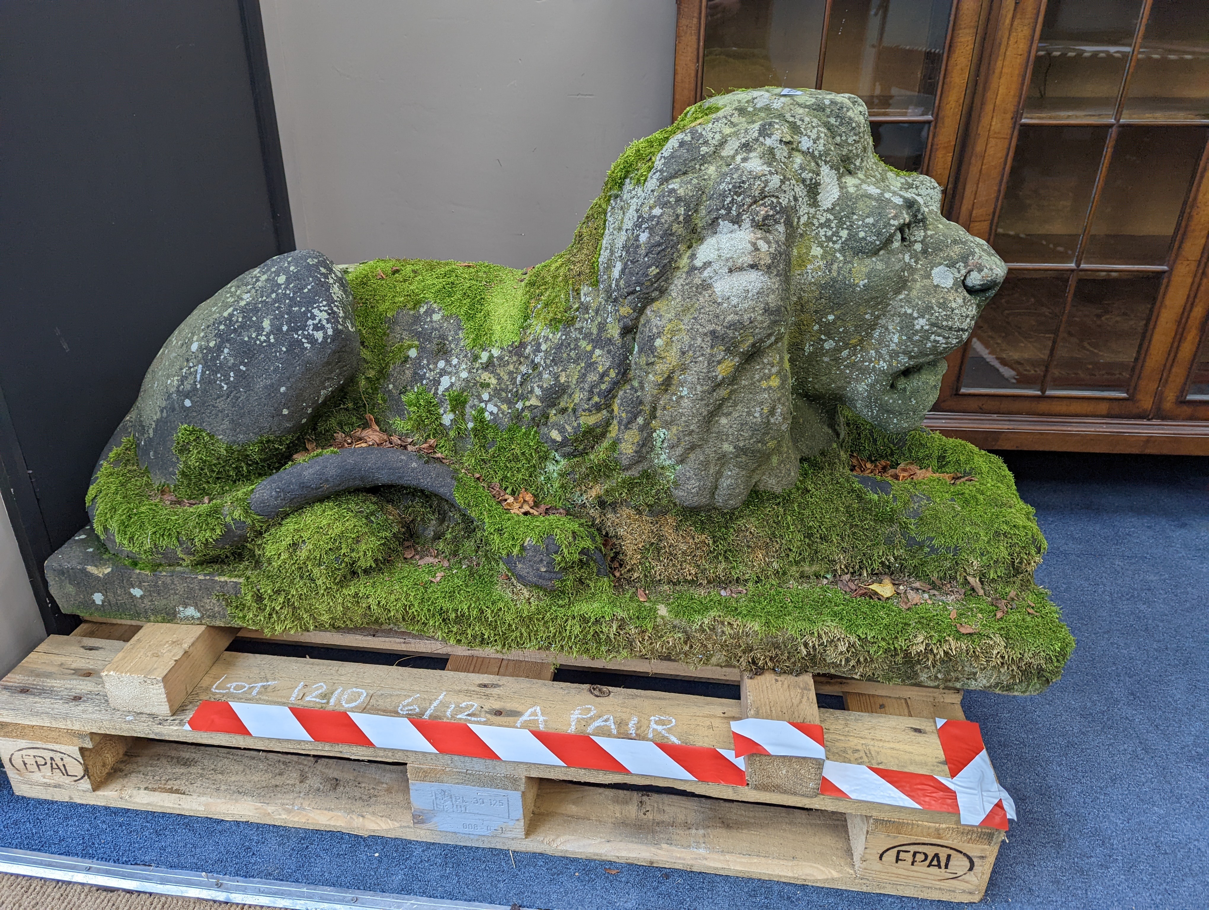 A pair of carved stone models of a recumbent lion and lioness, purchased from Crowther of Syon Lodge approximately 40 years ago. Length 122cm. Width 50cm. Height 60cm.